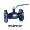   Genebre DN150 PN16